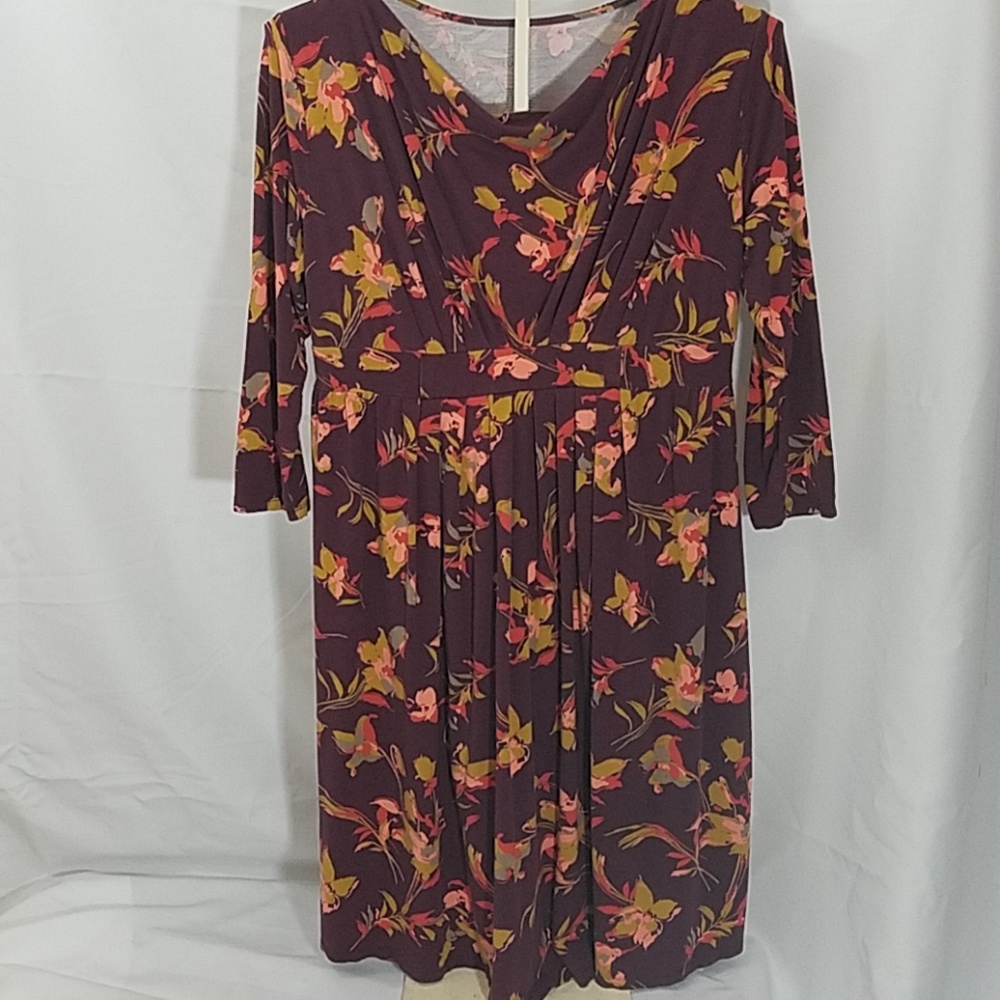 Liz Lange Maternity Nurse Friendly Dress